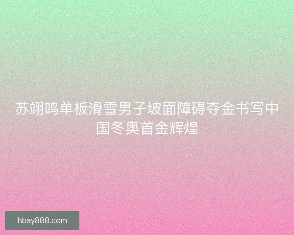 苏翊鸣单板滑雪男子坡面障碍夺金书写中国冬奥首金辉煌