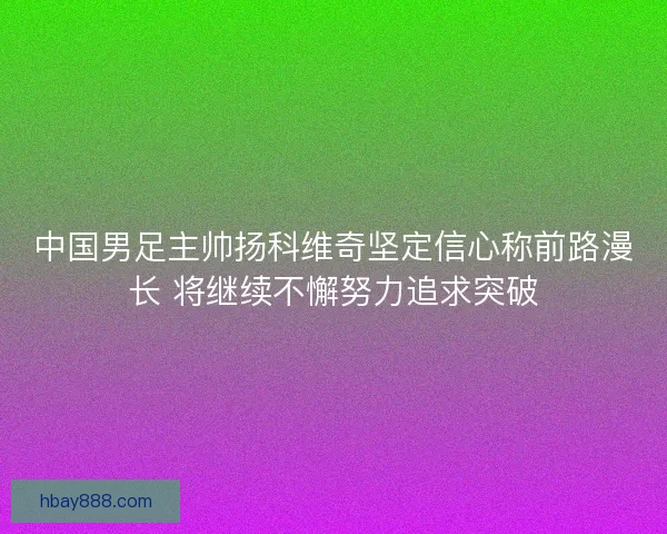 中国男足主帅扬科维奇坚定信心称前路漫长 将继续不懈努力追求突破